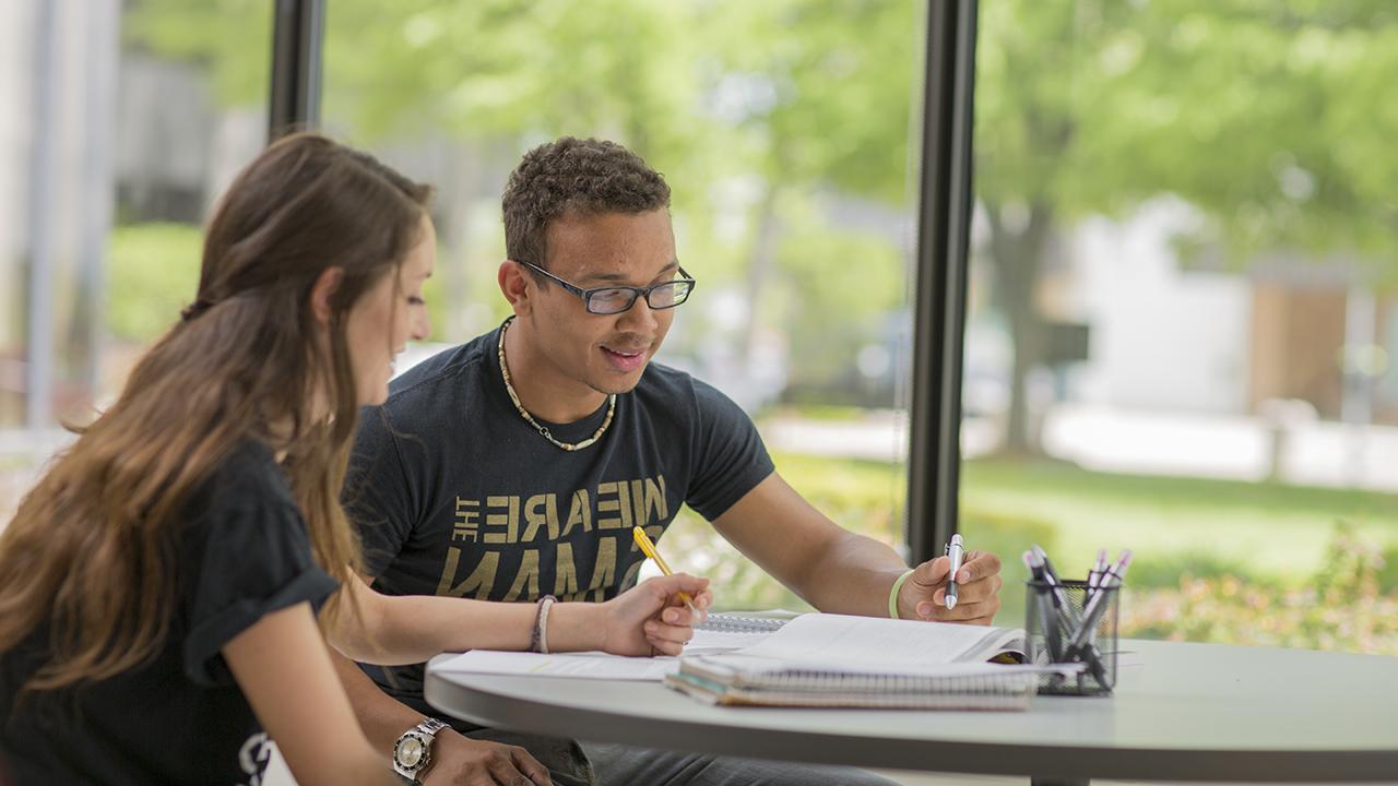 Students studying